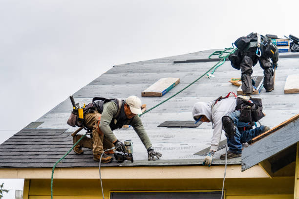 Professional Gutter Installation technician working in Mathews, LA