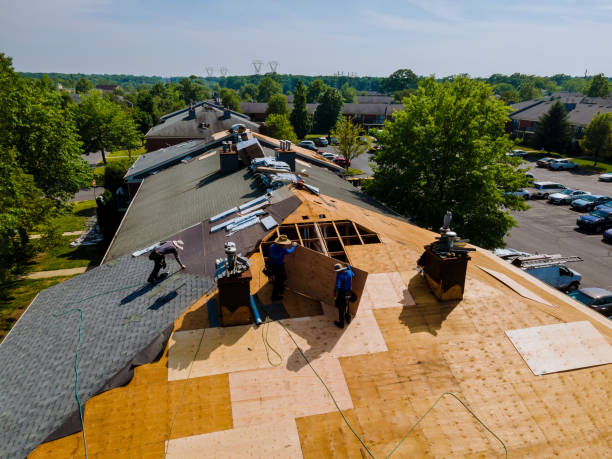 Trusted Roof Installation service in Mathews, LA - Brentwood Metal Roofing